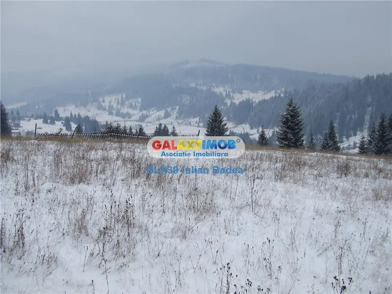 Teren pentru Complex Turistic - 12 730 mp  - Vatra Dornei - foto 7