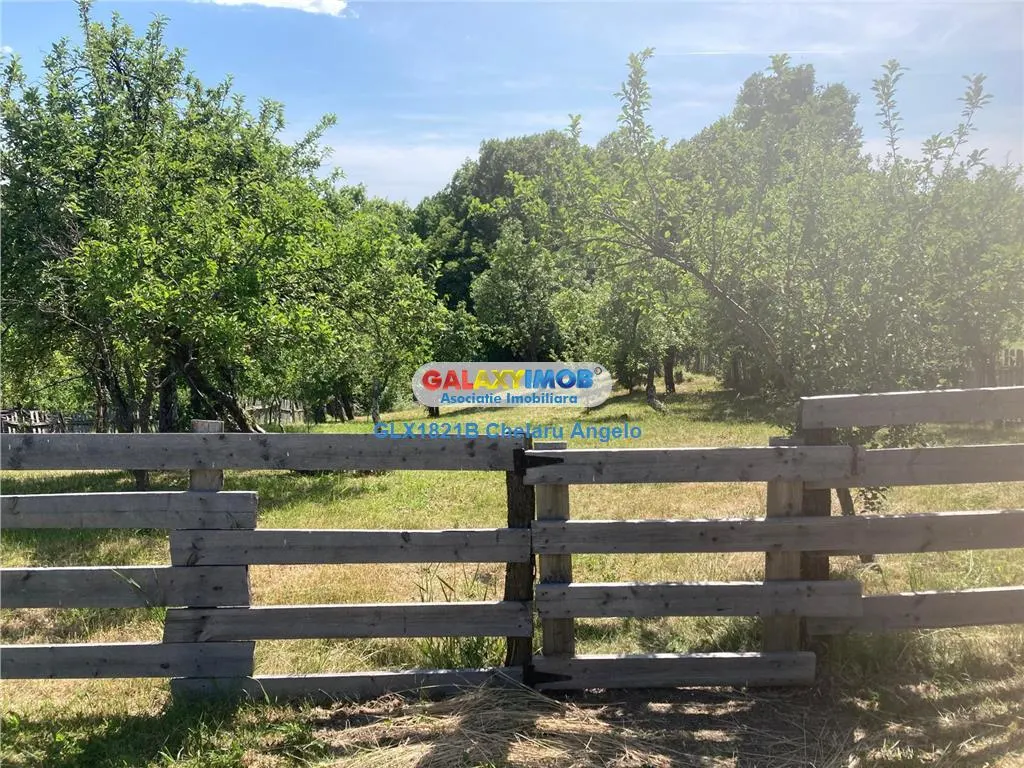 Rachitele de Jos,Arges,2 case 100 mp, teren 2000 mp, - foto 2
