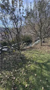 De Vanzare Vila de Lux - foto 4