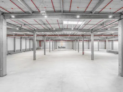 Spatiu Industrial - 9500 mp - Logistica - Depozitare - Distributie - foto 5