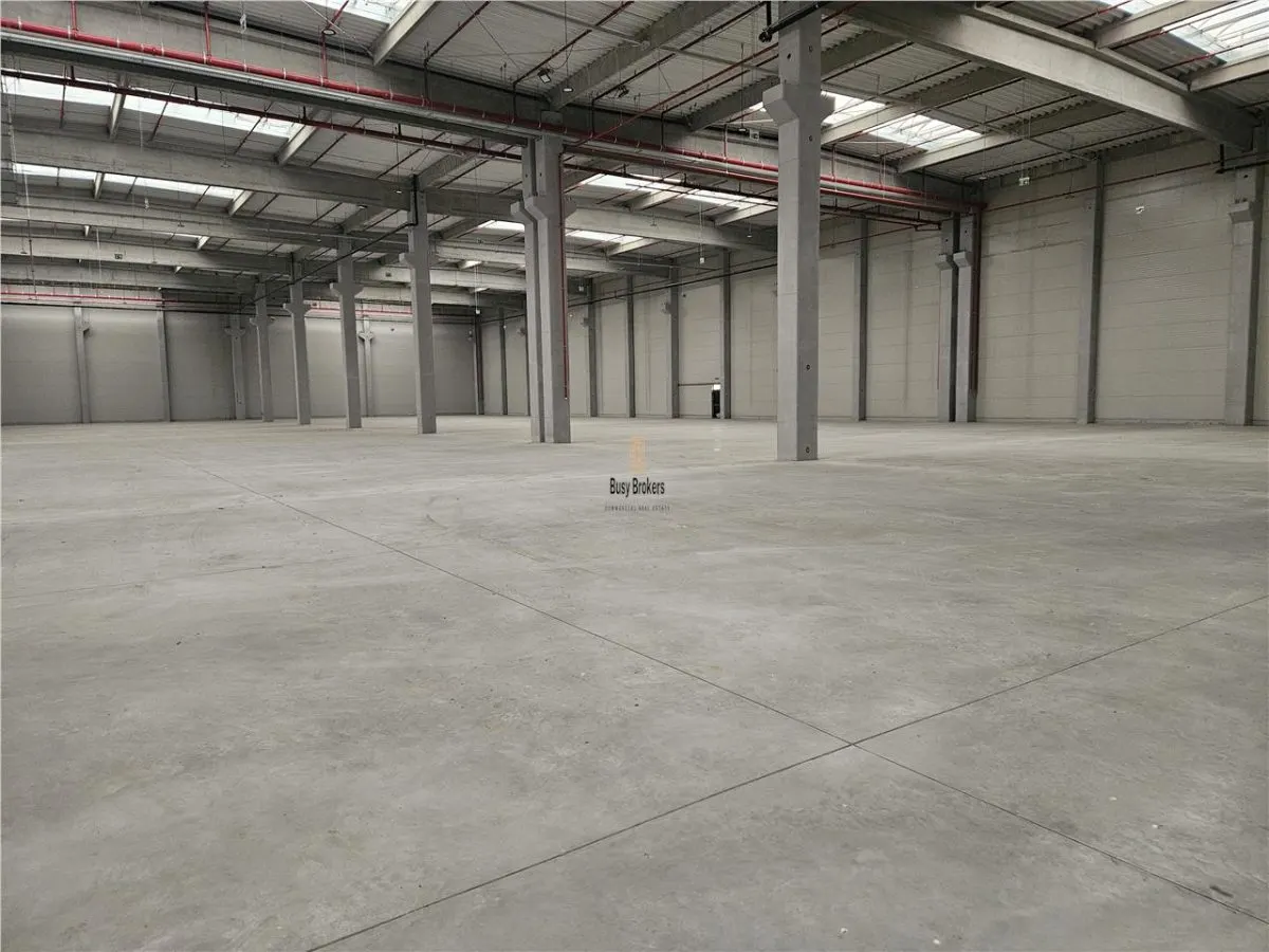 Spatiu Industrial - 8200 mp - Logistica - Depozitare - Distributie - foto 1