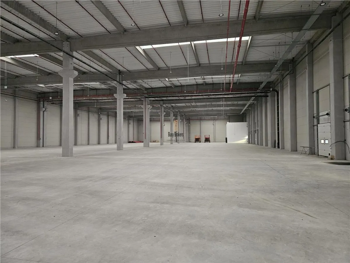 Spatiu Industrial - 6400 mp - Logistica - Depozitare - Distributie - foto 8