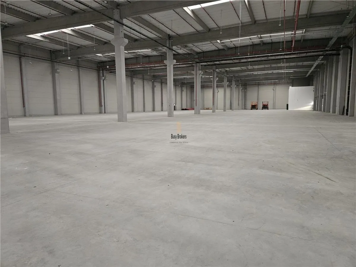 Spatiu Industrial - 4300 mp - Logistica - Depozitare - Distributie - foto 3