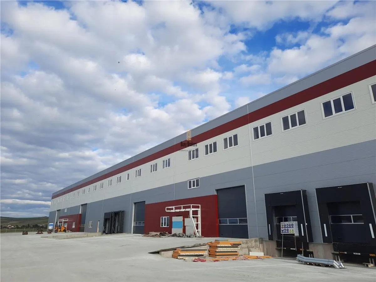Spatiu Industrial - 7050 mp - Logistica - Productie - Depozitare - Distributie - foto 7