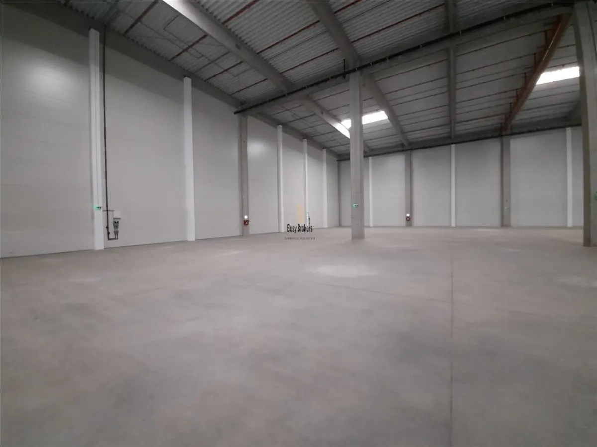 Spatii Industriale - 6500 mp - Logistica - Productie - Depozitare - Distributie - foto 13