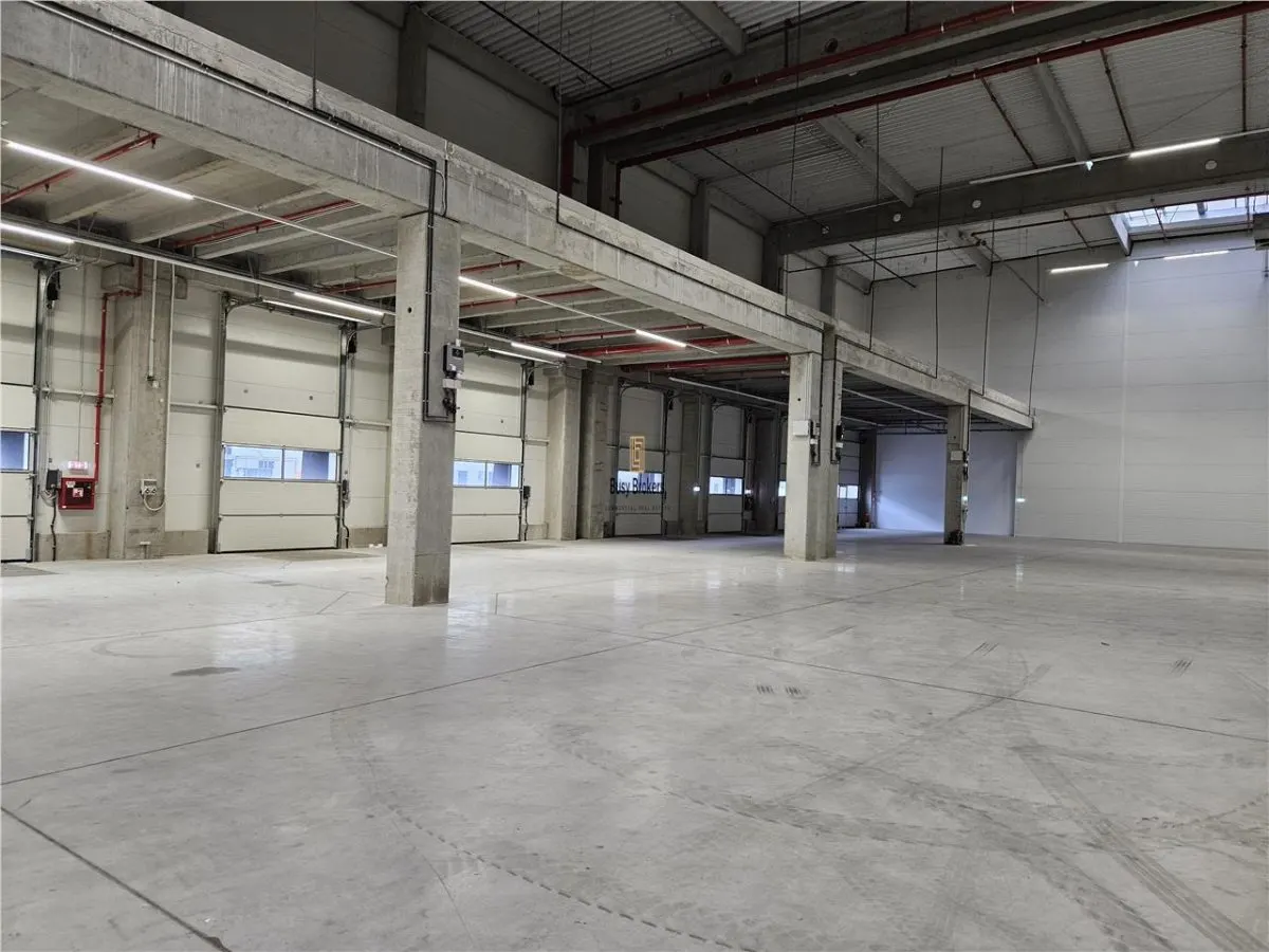Spatii Industriale - 9500 mp - Logistica - Productie - Depozitare - Distributie - foto 7
