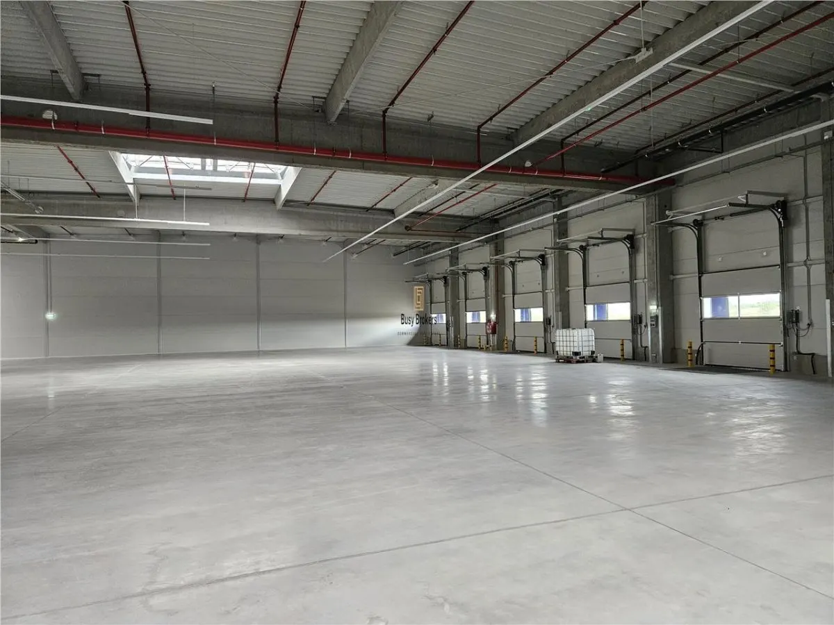 Spatiu Industrial - 3700 mp - Logistica - Productie - Depozitare - Distributie - foto 15