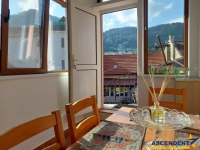 Garsoniera deschisa si la regim hotelier, priveliste frumoasa, pet friendly, loc parcare, Schei,Brasov - Brasov