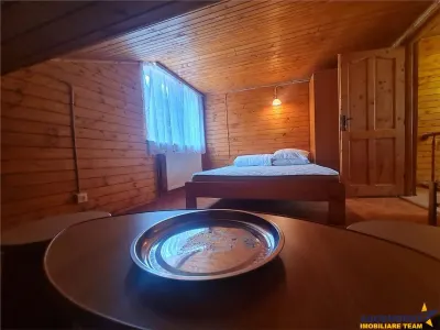 Vila versatila, dubla oportunitate: rezidential exclusivist si potential comercial - foto 21