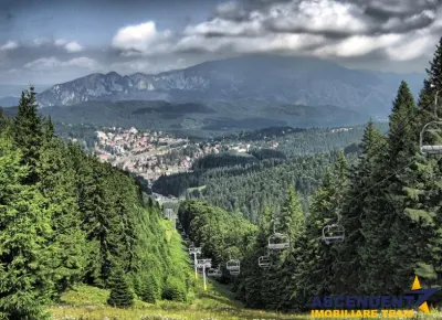 Vila versatila, dubla oportunitate: rezidential exclusivist si potential comercial - foto 8