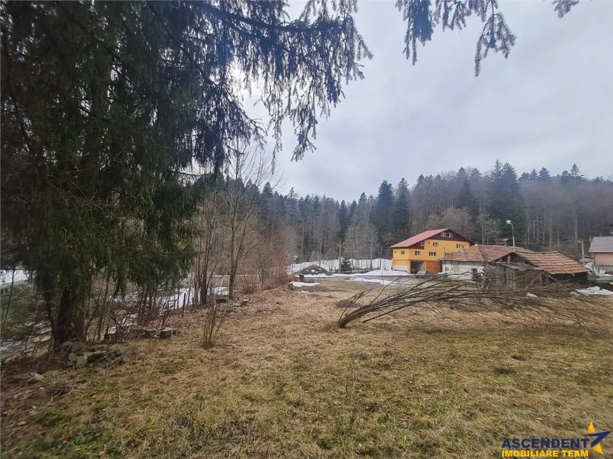 Vila versatila, dubla oportunitate: rezidential exclusivist si potential comercial - foto 10