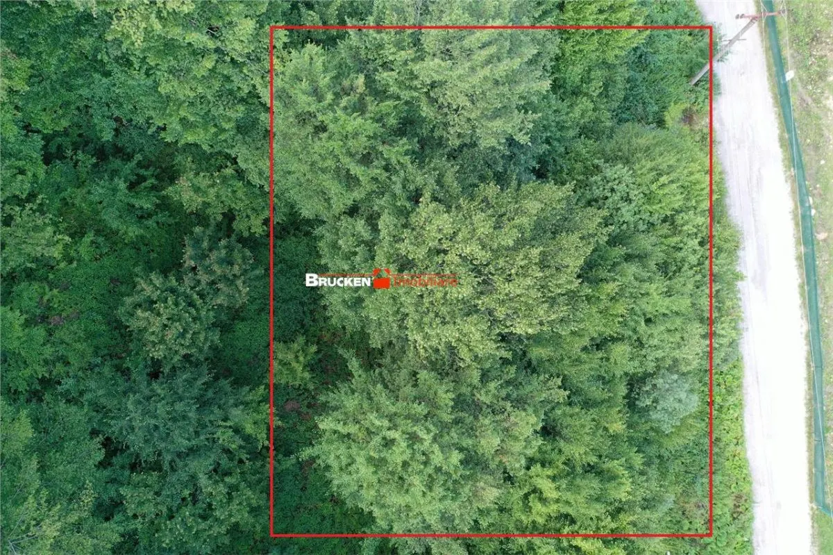 TEREN INTRAVILAN CONSTRUIBIL â€“ 400 mp | Statiunea Boga, com. Pietroasa, jud. Bihor - foto 3