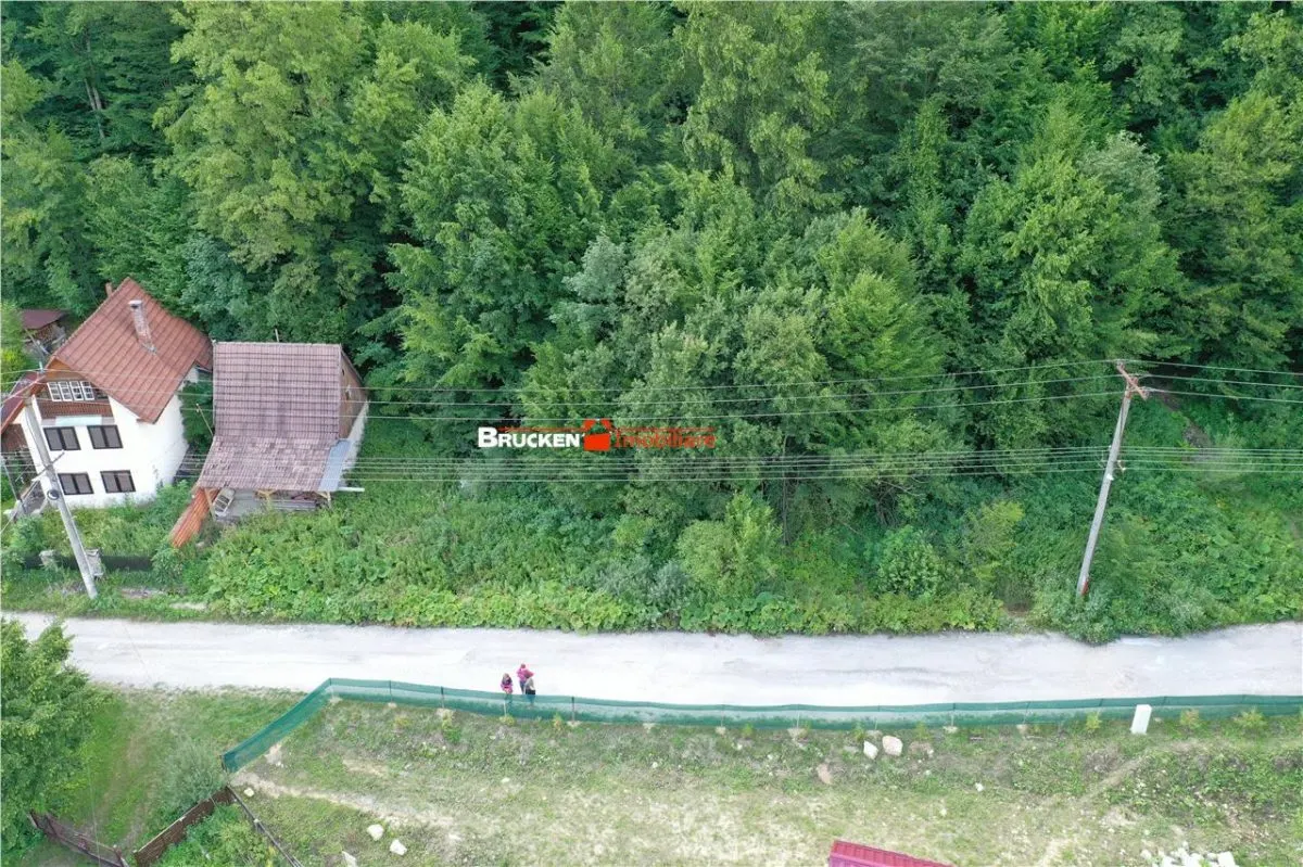 TEREN INTRAVILAN CONSTRUIBIL â€“ 400 mp | Statiunea Boga, com. Pietroasa, jud. Bihor - foto 4