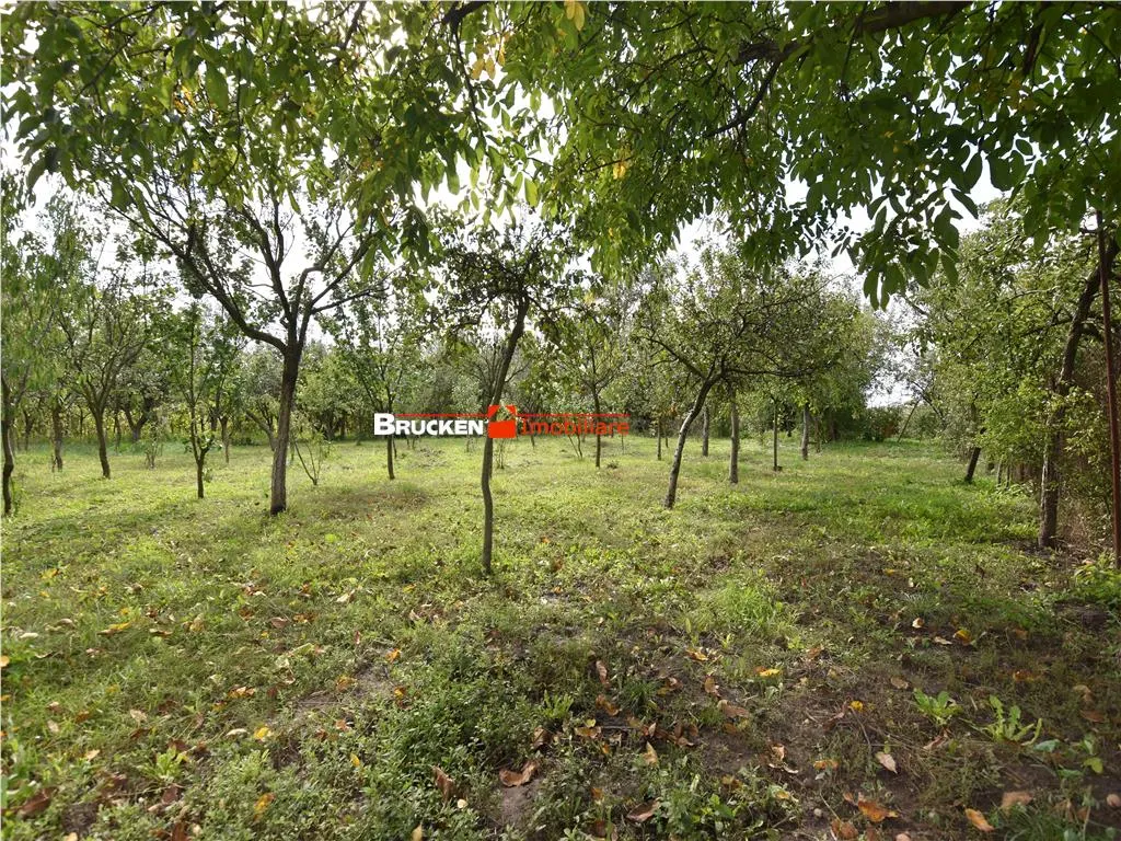 CASA IN ZONA GARII | MARGHITA - foto 1