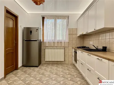 Vila la marginea padurii | curte superba | Iancu Nicolae - foto 14