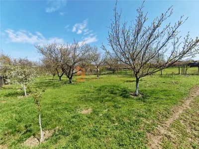 Casa tip parter zona Candesti - foto 14
