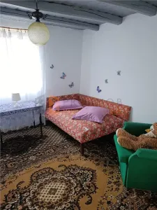 Casa tip parter zona Sarata Monteoru - foto 9