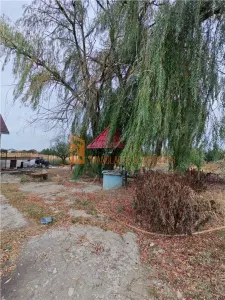 Casa P+M cu teren 2098 mp in Potoceni Buzau - foto 17