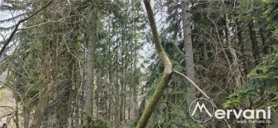 Etaj vilă istorică de vânzare în Sinaia â€“ Zona Furnica - foto 8