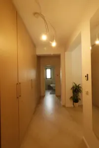 Apartament 1 camera Copou - 399 euro - foto 2