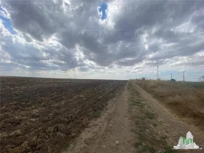 Teren extravilan in Mihail Kogalniceanu, Constanta - foto 6