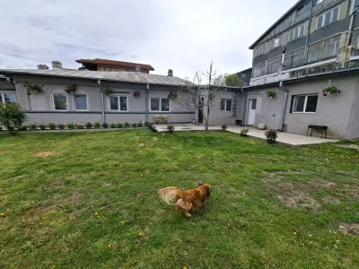 Casă de vânzare în Popești-Leordeni â€“ 395 mp, mobilată, lângă Primări - Popesti-Leordeni