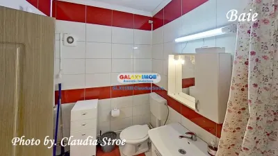 INCHIRIERE APARTAMENT 3 CAMERE NITU VASILE - foto 24