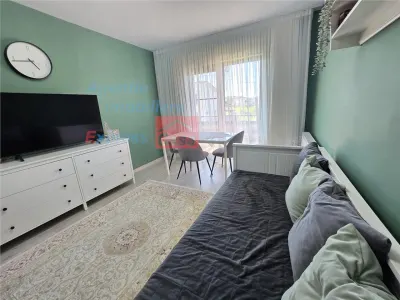 Proprietate deosebita de vanzare | Casa, 13.200 mp teren, doua iazuri cu peste | Raducaneni, Iasi - foto 11