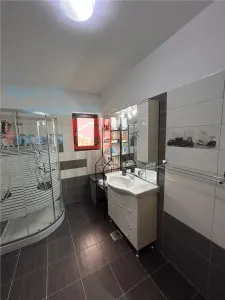 Proprietate deosebita de vanzare | Casa, 13.200 mp teren, doua iazuri cu peste | Raducaneni, Iasi - foto 21