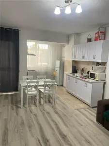 Inchiriere apartament  2 camere zona Vest - foto 8