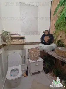 Casa 4 Camere Voluntari - foto 11