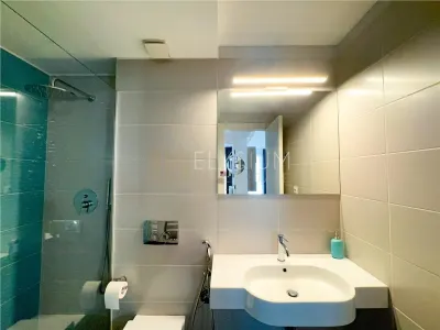 Apartament 2 camere de inchiriat Lighthouse Residence Herastrau - foto 16