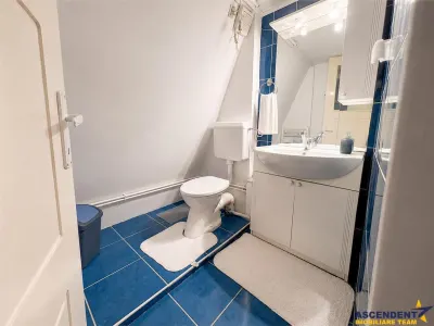 Casa primitoare in decor valoros, rodnic teren de 850mp, Ilieni, Covasna: FILM! - foto 20