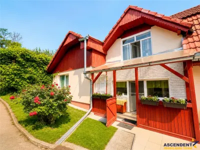 Casa primitoare in decor valoros, rodnic teren de 850mp, Ilieni, Covasna: FILM! - foto 23