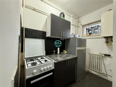 Apartament cu 1 camera de inchiriat, in Tudor, zona Rexo - foto 3