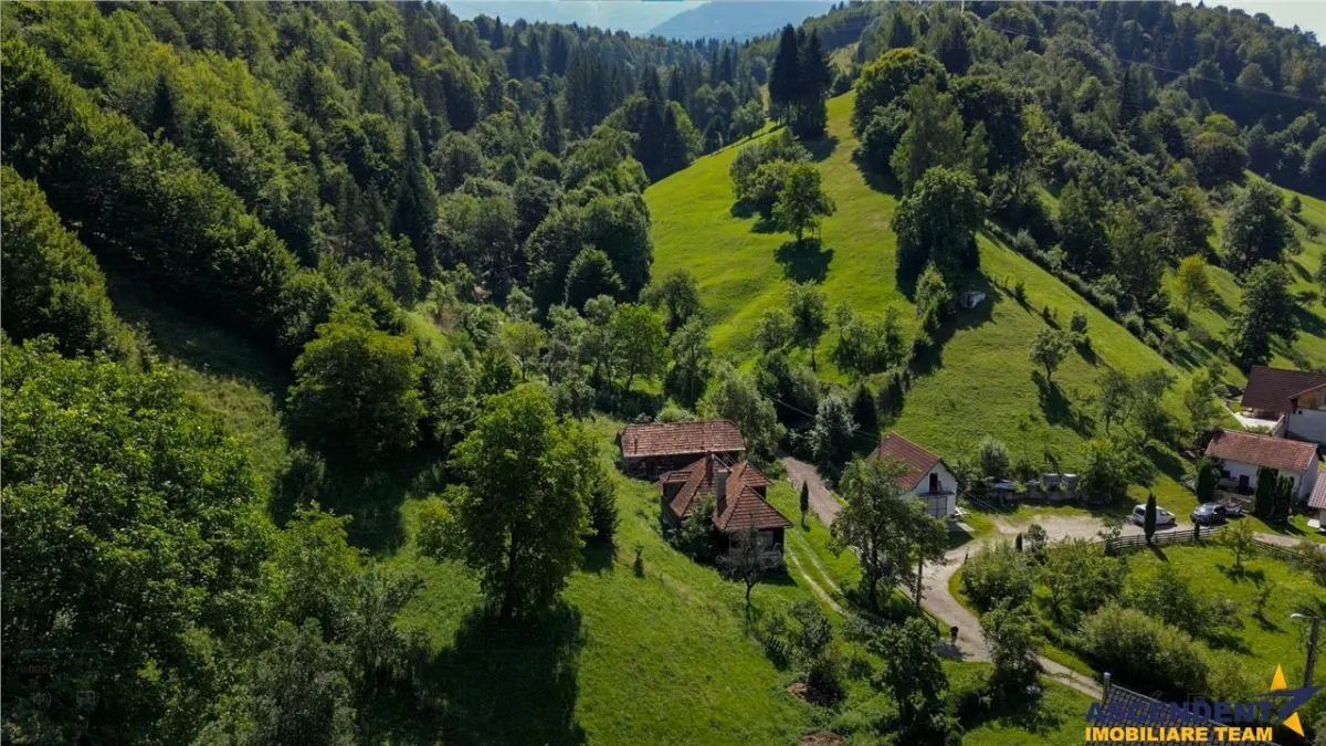 FILM! Casa traditionala pe domeniu de 4.300mp teren, Bran - Simon, Brasov - foto 11