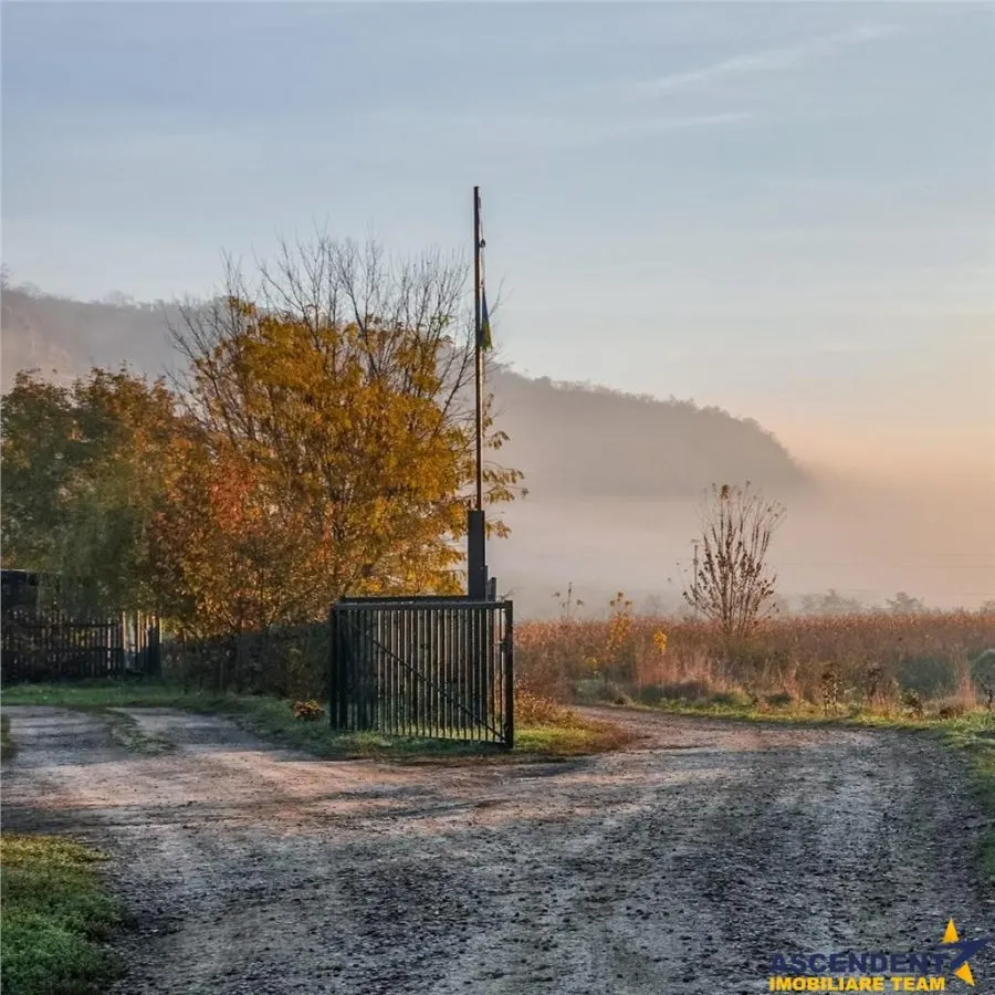 Transilvania Camping, domeniu de 14.400mp,Sanmarghita de Mures:2cladiri, apartamente,potential exceptional - foto 22