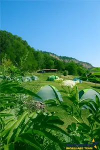 Transilvania Camping, domeniu de 14.400mp,Sanmarghita de Mures:2cladiri, apartamente,potential exceptional - foto 4