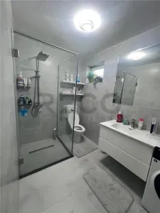 RECO, Oportunitate doua apartamente in Astileu, renovate complet, panouri fotovoltaice - foto 9