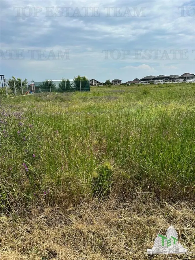 Teren intravilan in Magurele 500 mp - foto 1